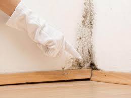 Best Mold Odor Removal Services  in Taylorvle, IL